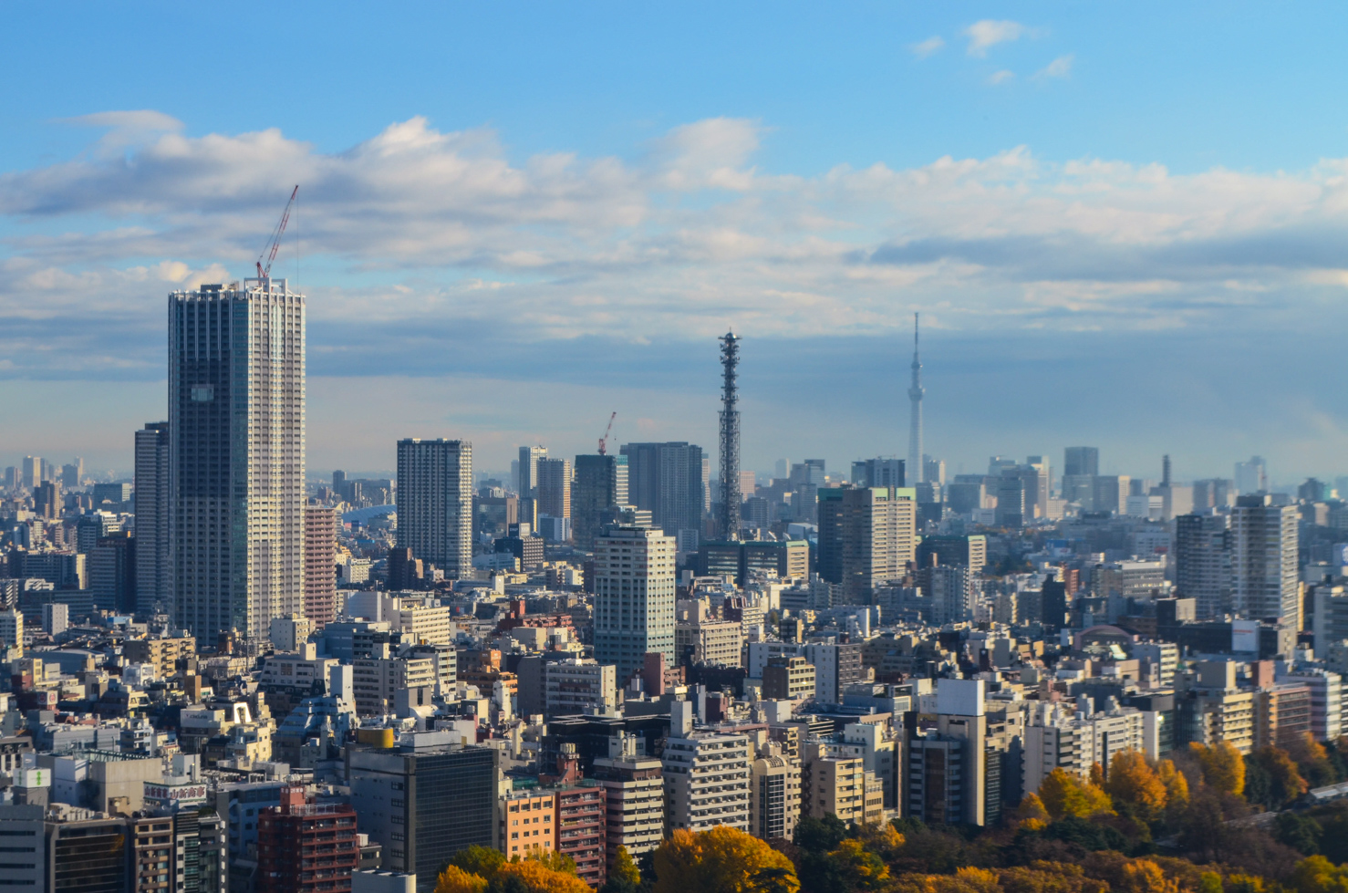 Tokyo's cityscape from atop a skyscraper