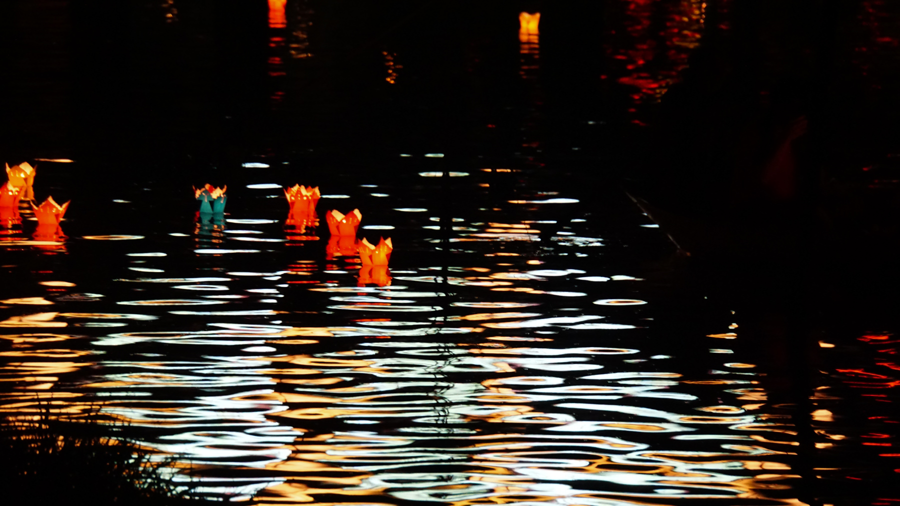 Floating lanterns on the river set against the illumination of the city's lights