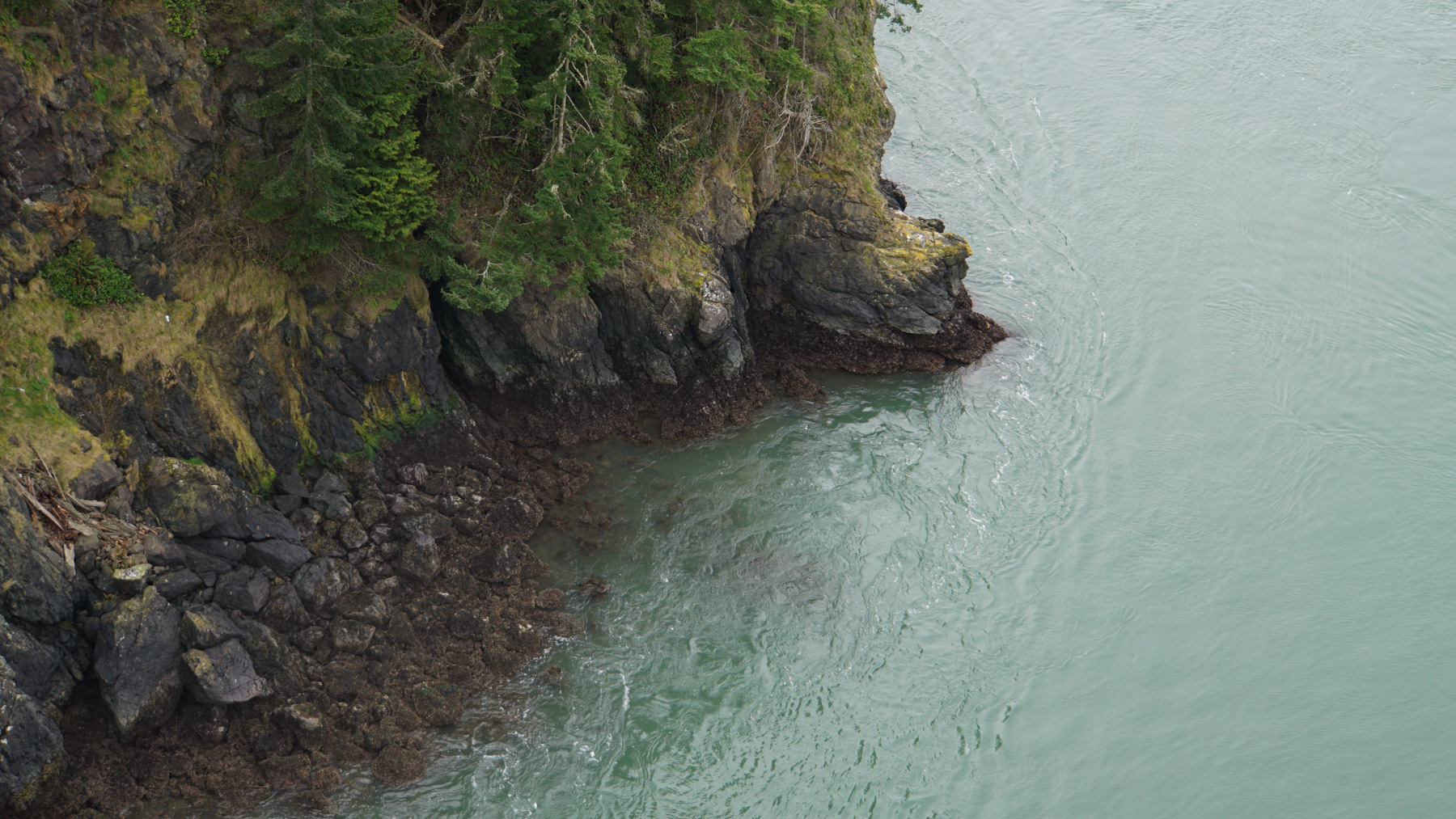 Water washing up a shoreline