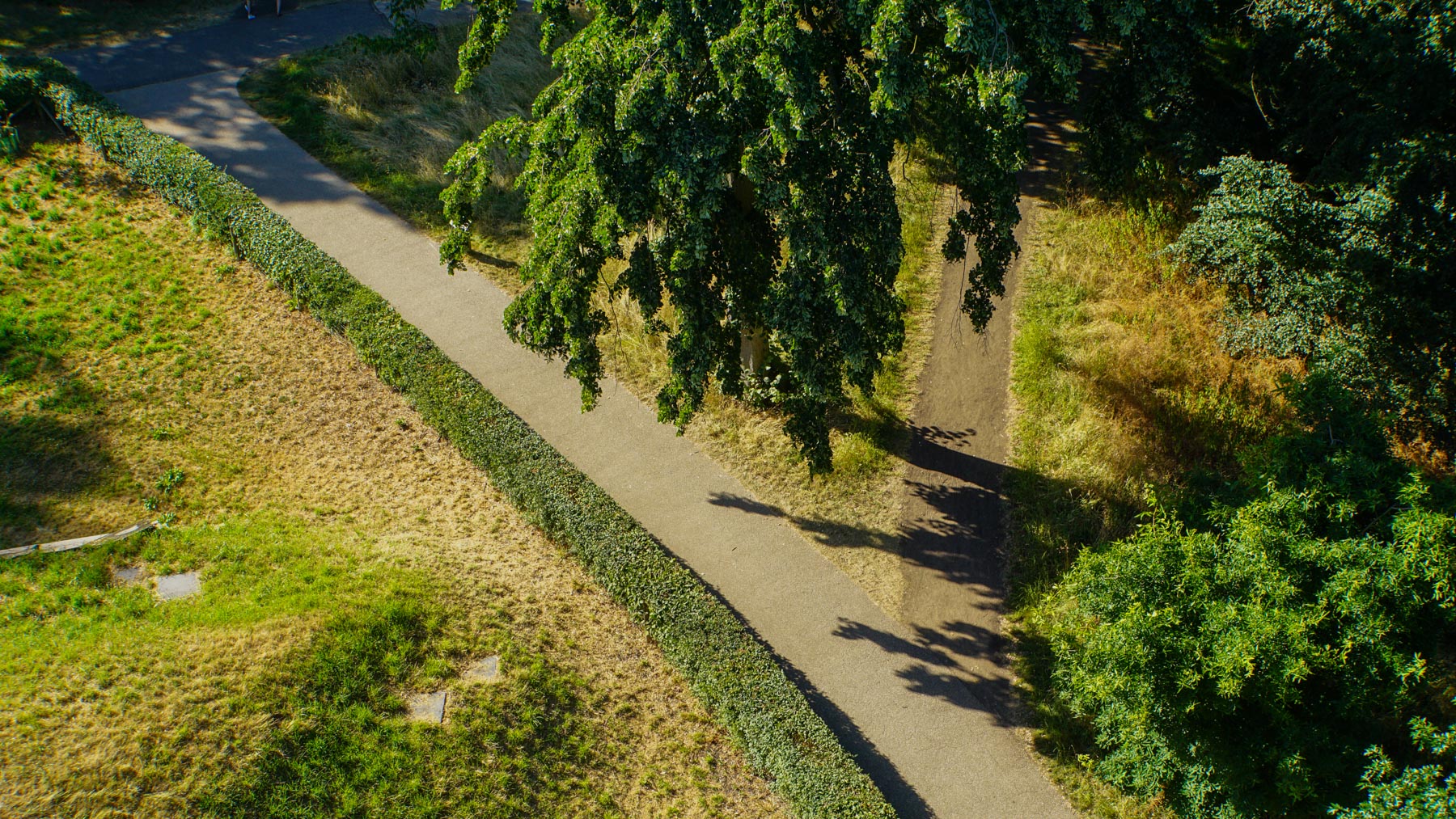 A path in the park