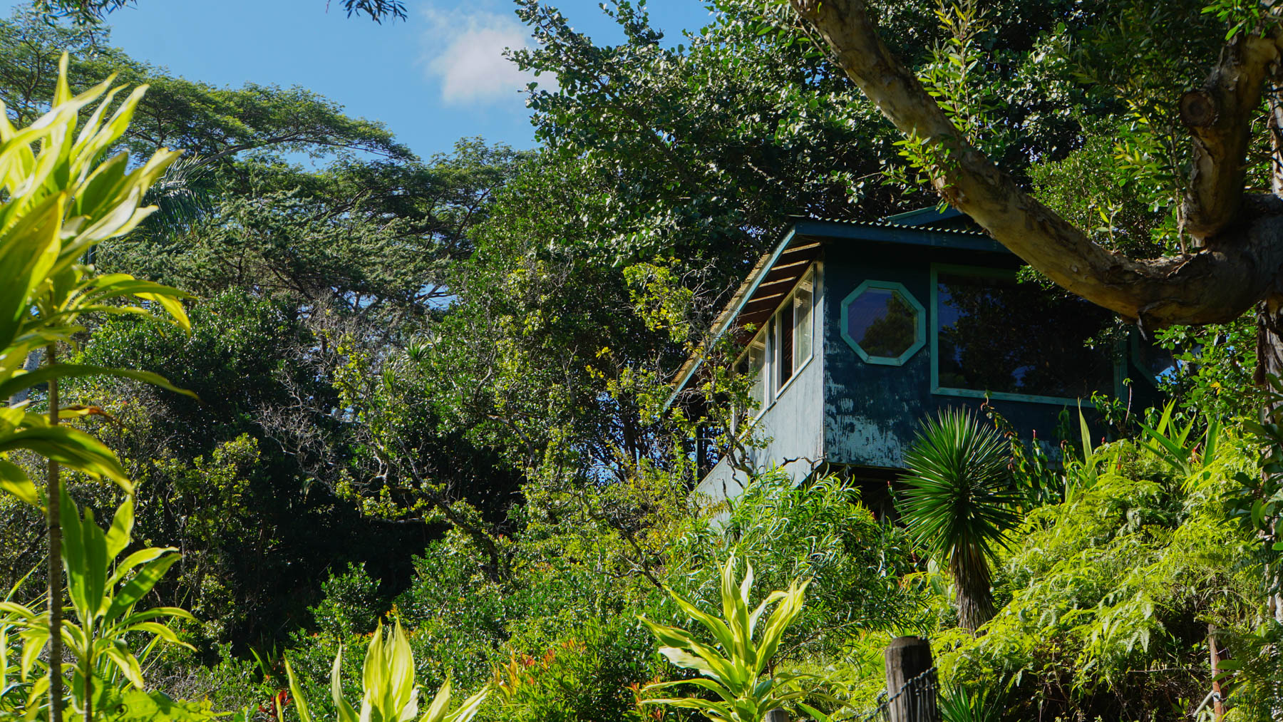 A small house on the hill top, surrounded by trees