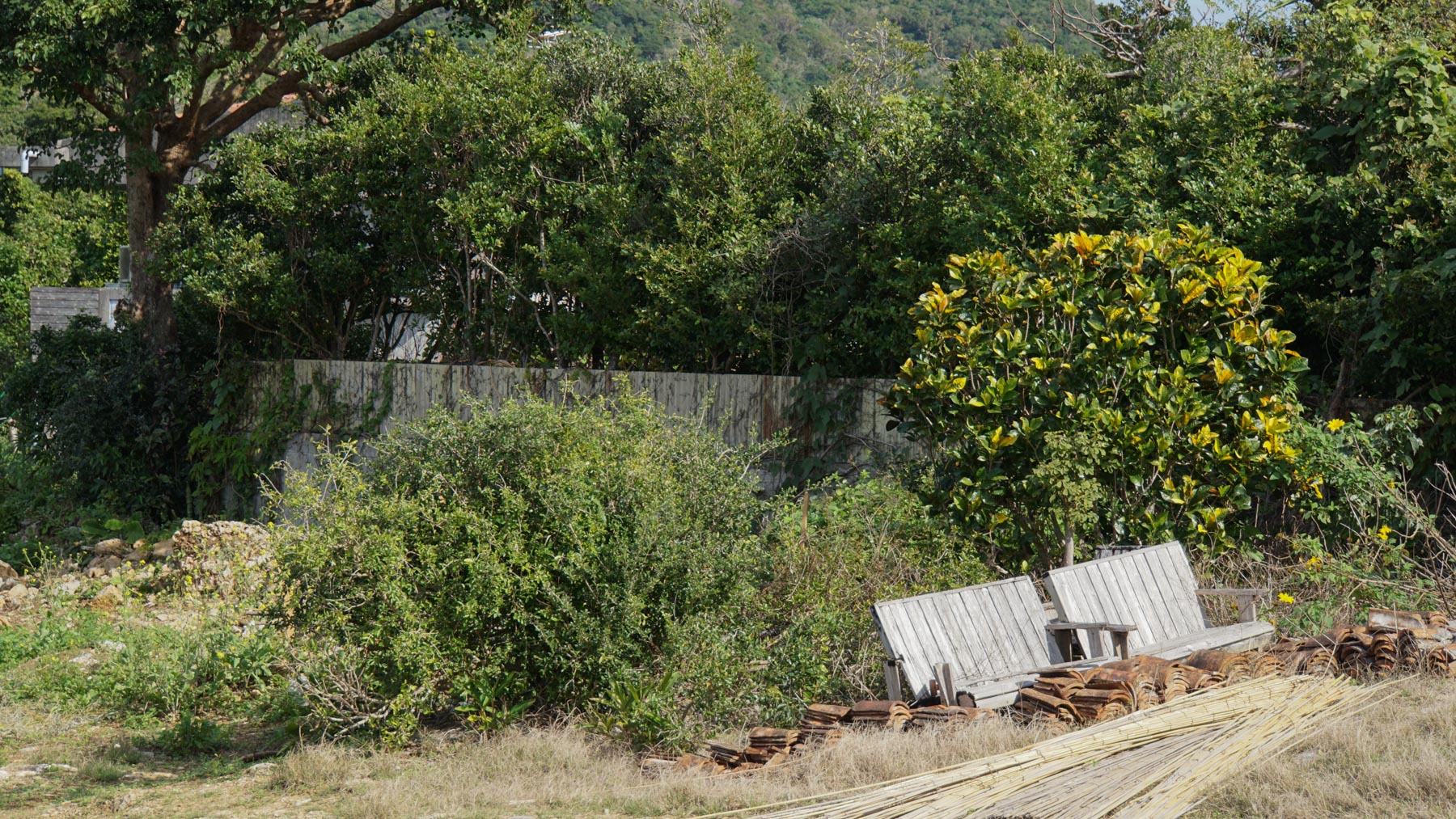 A random abandoned bench