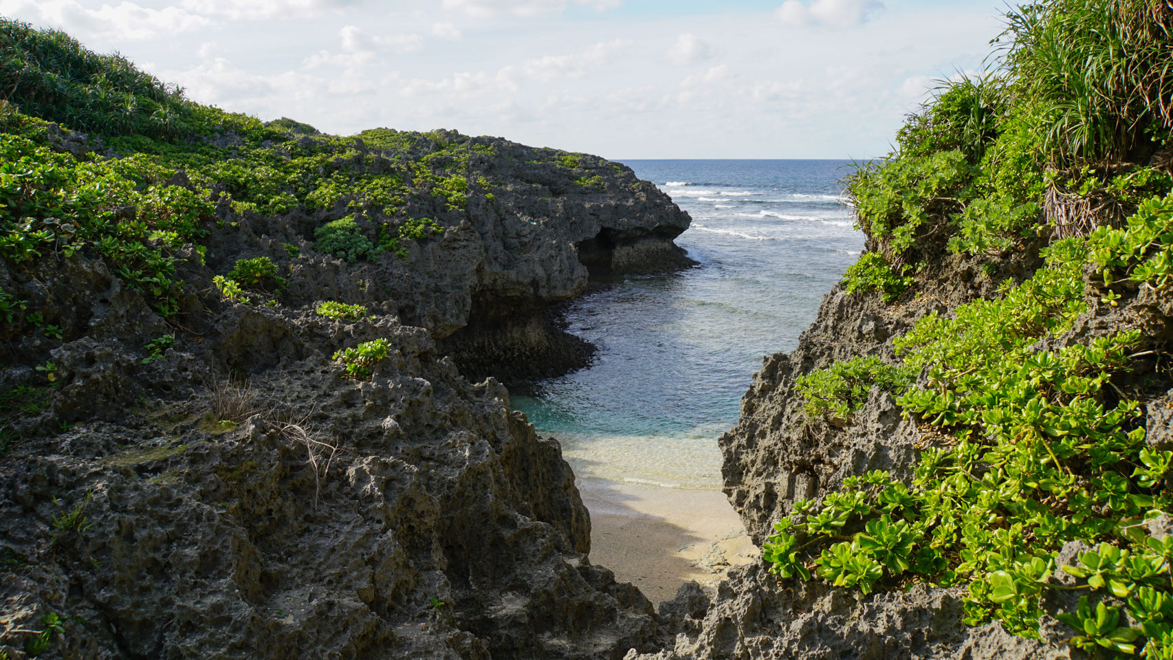 A sandy cove encompassed by greenery