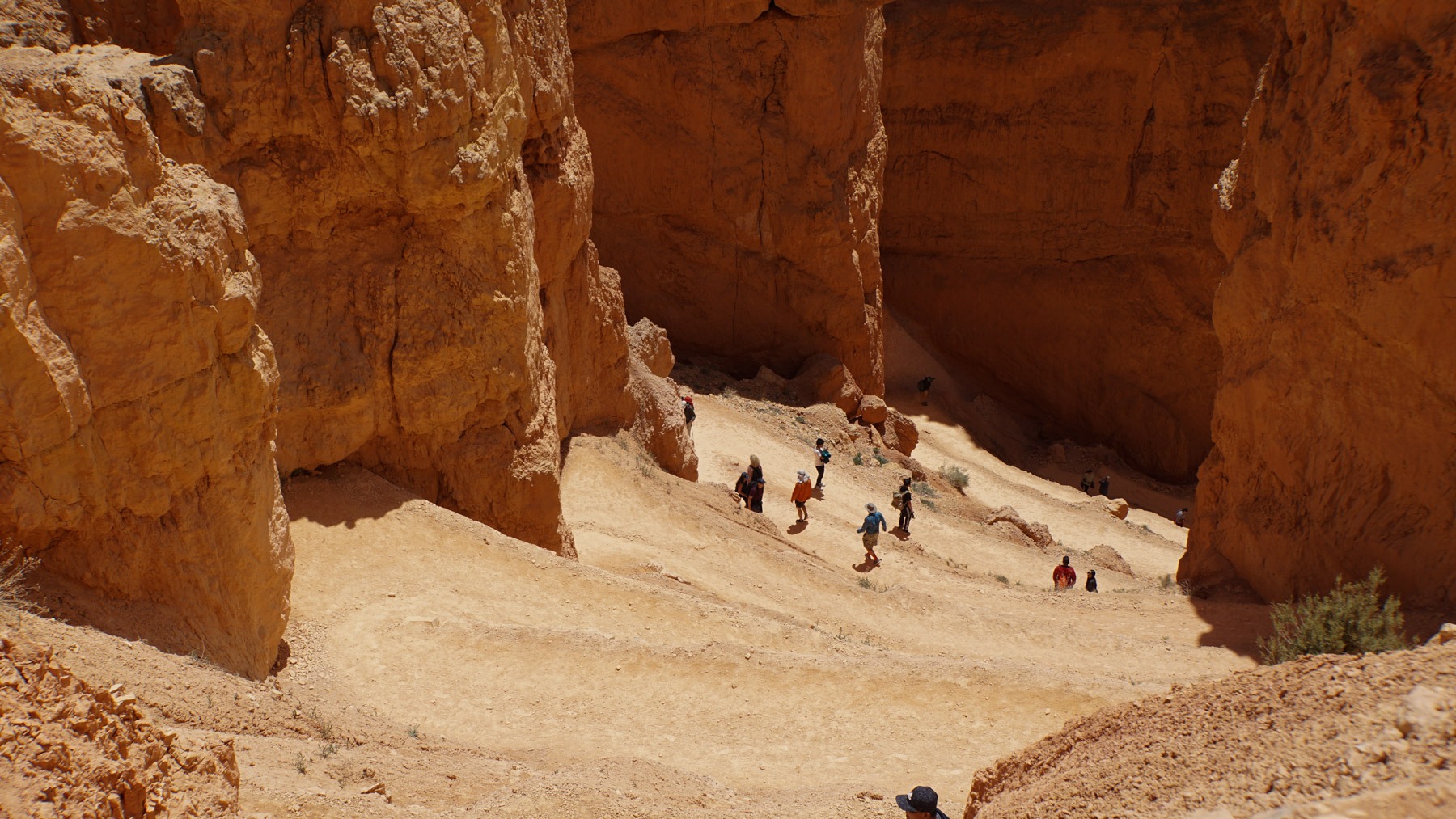 A rocky path down into the park