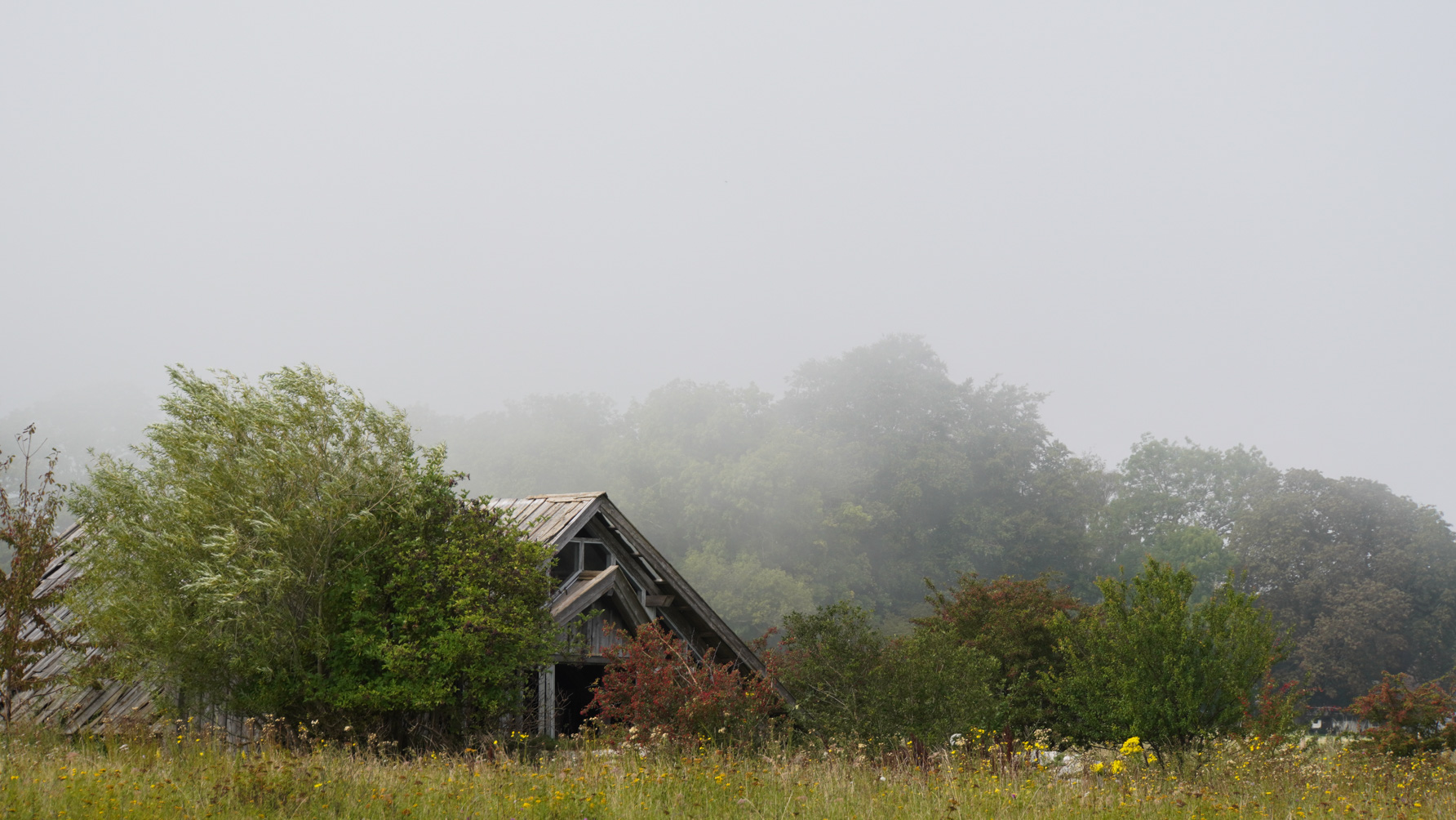 An old-looking farmhouse against the mist